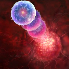 Telomere - G - Force(Preview)