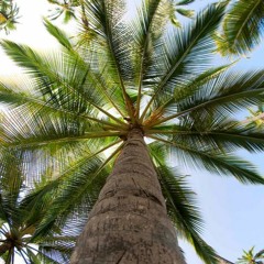 Ldubz- Bailando (Produced By Ldubz)