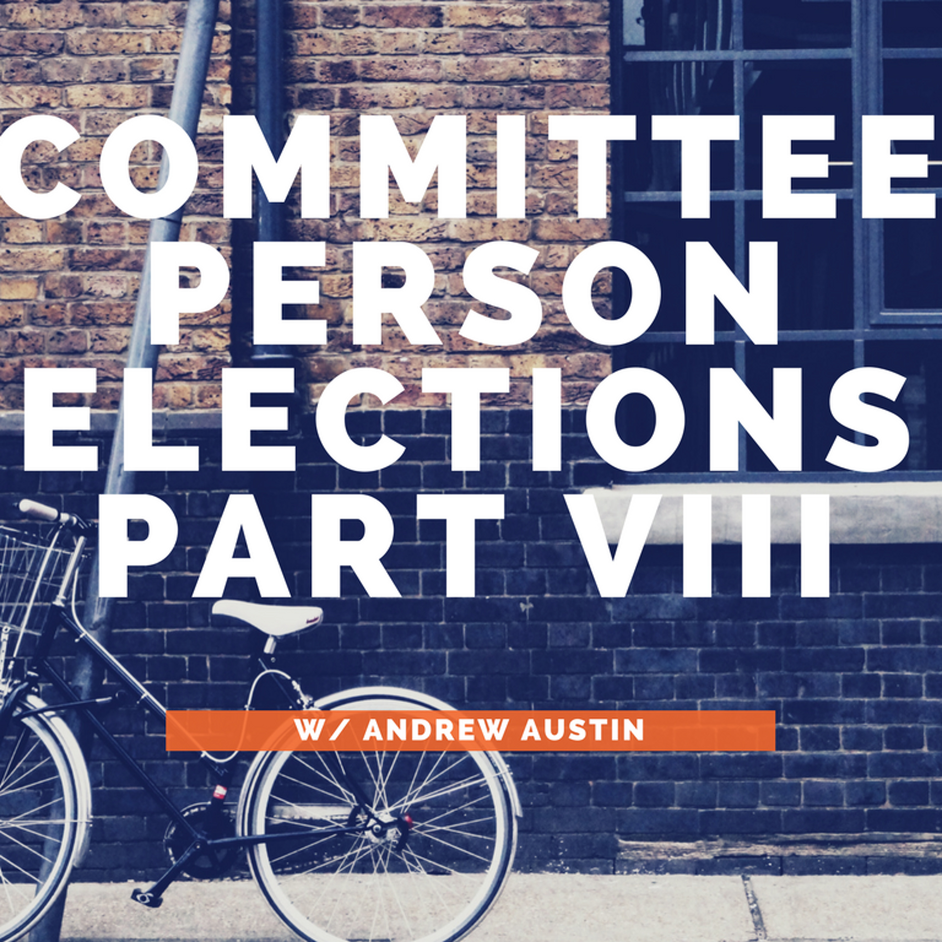 Committeeperson Elections Part VIII w/Andrew Austin