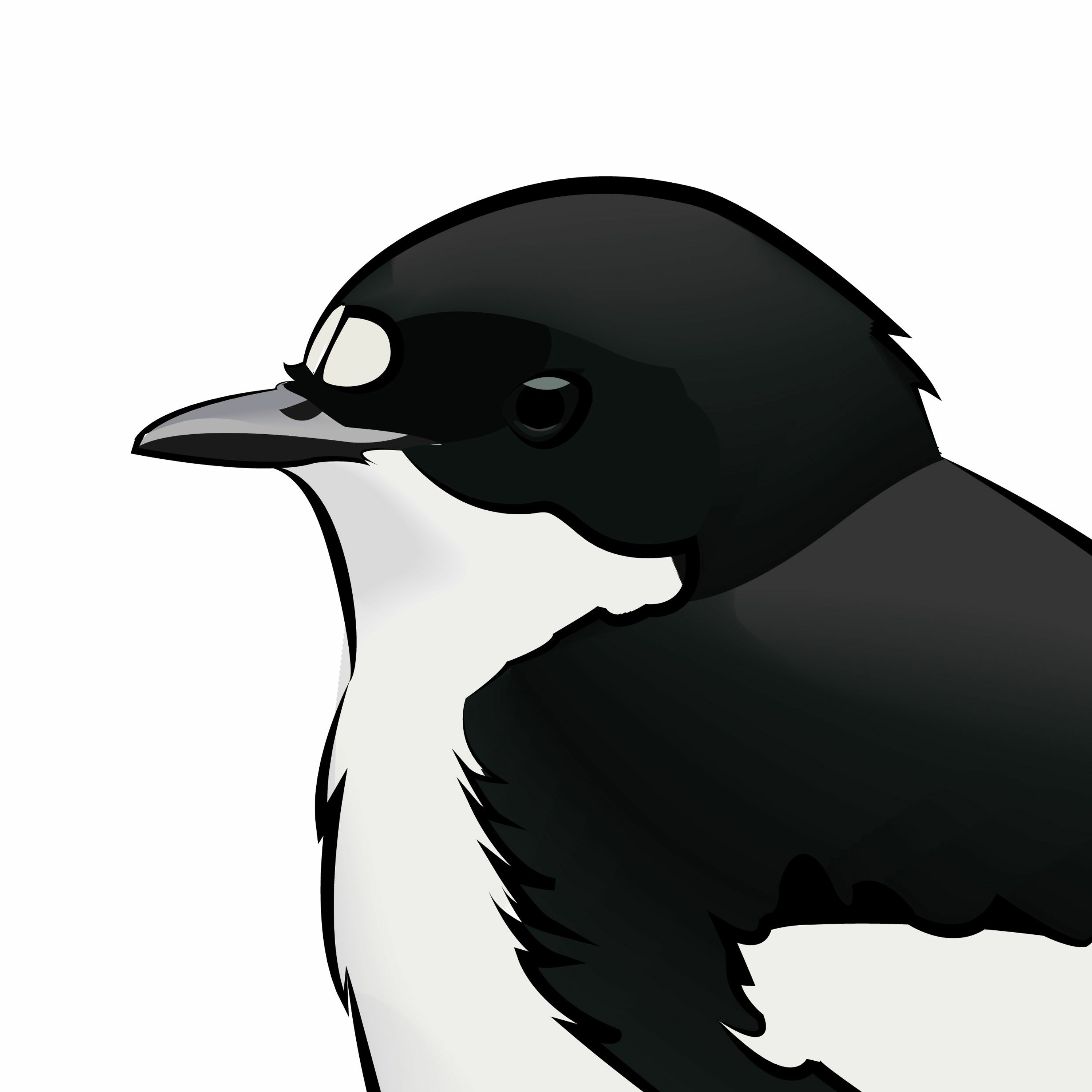 Pippipodden