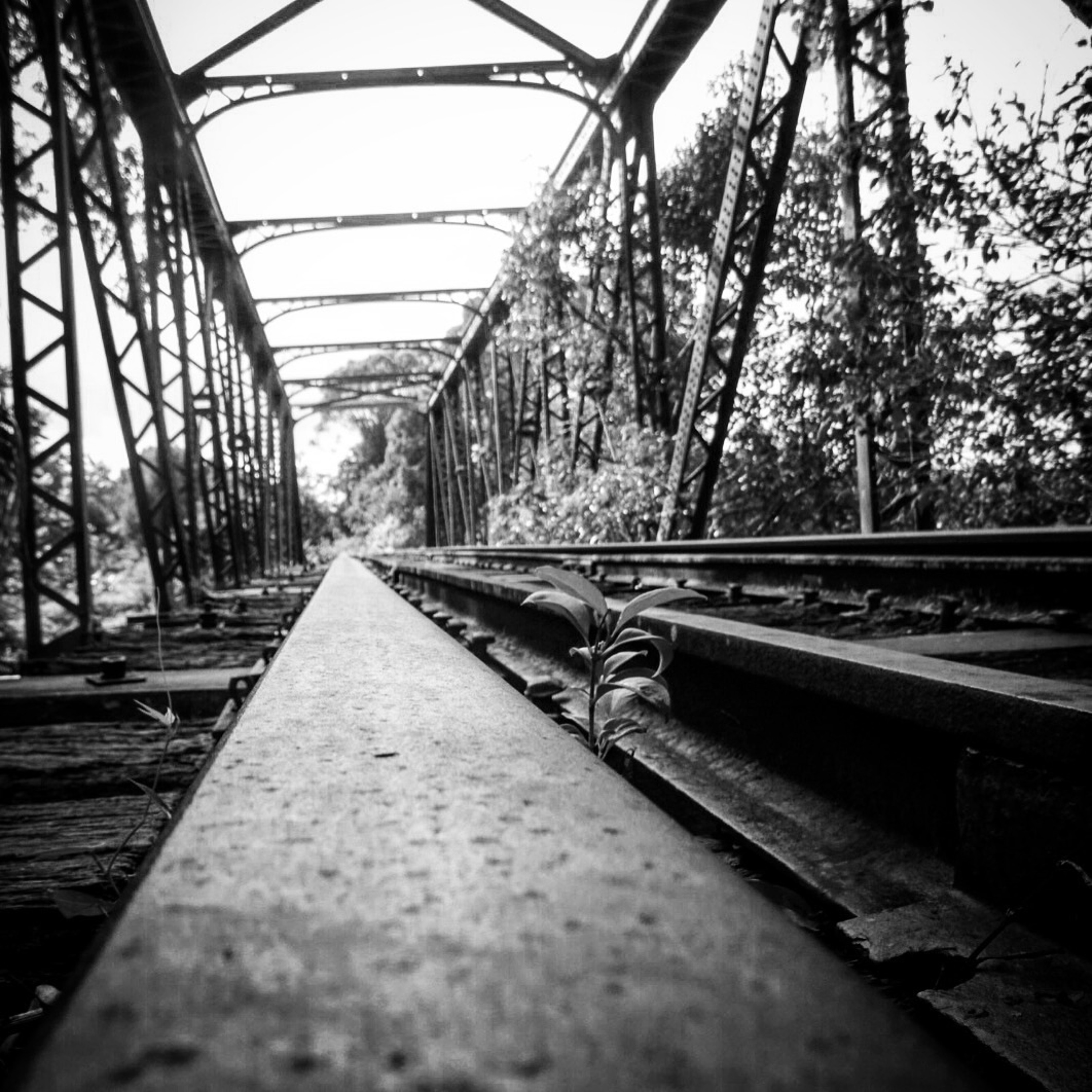 Rusty Bridge episode artwork