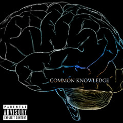 Common Knowledge (ft Ensins)