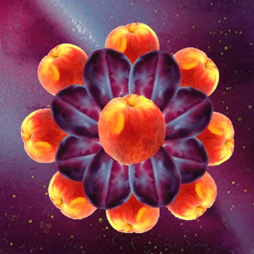 Peaches & Prunes #3 JP Warm Up