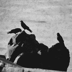 Three Crows
