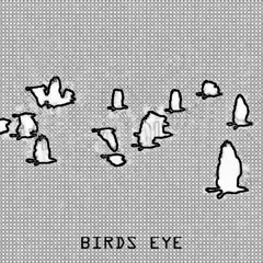 Native P - BIRDS EYE