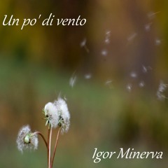 Un Pò Di Vento