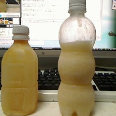 BØNUS SUICIDΣ ❖ Alone In The Dark