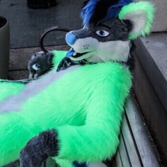 The Fantastic Kiwi Fox