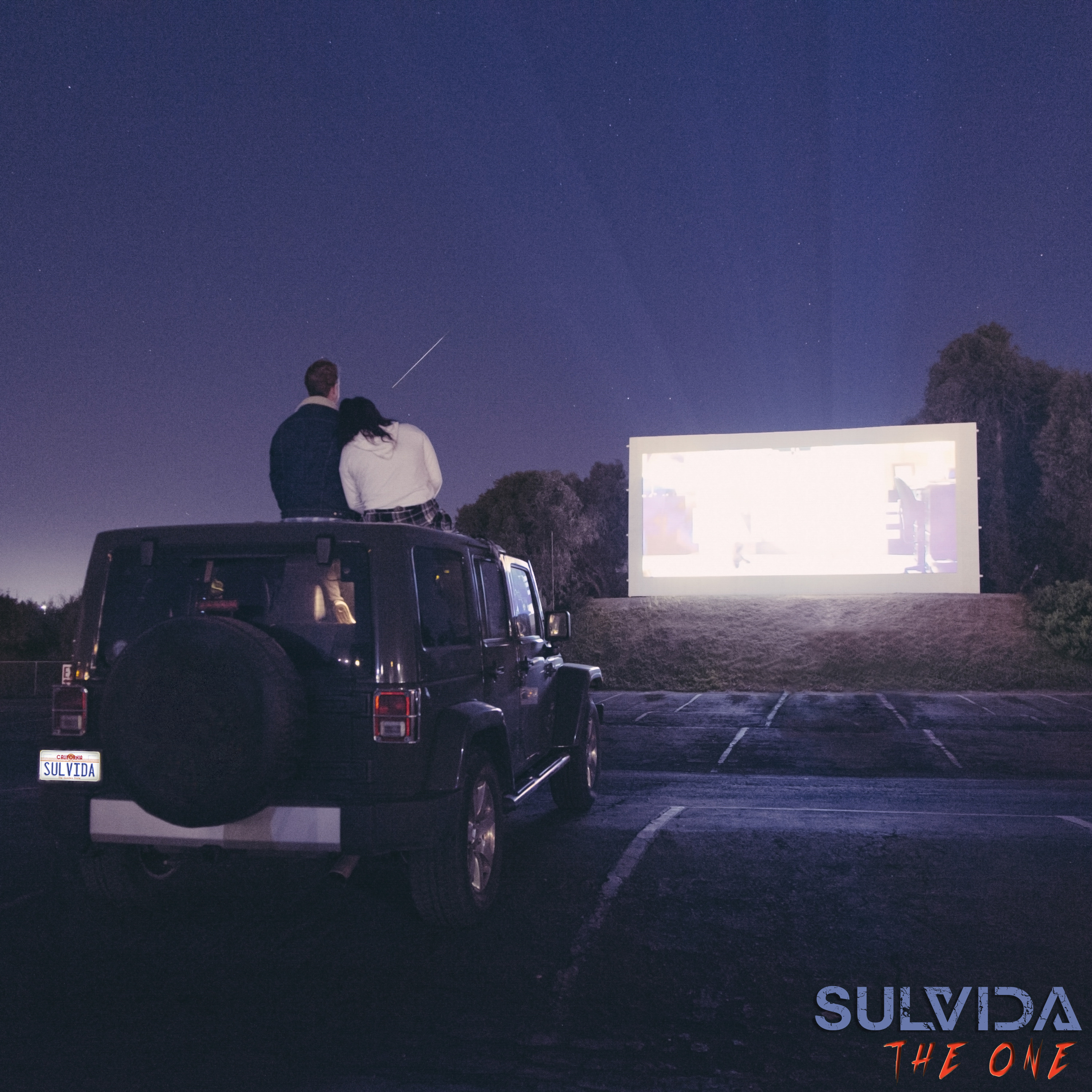 Sulvida