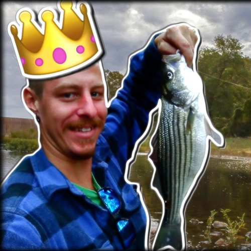 Stream episode ALEC LUDFORD FISHING TWITCH STREAMER by ShotFromThePoint