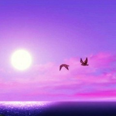 Passing Birds