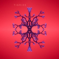 T I G R I D E - MixTape #004 May 2018