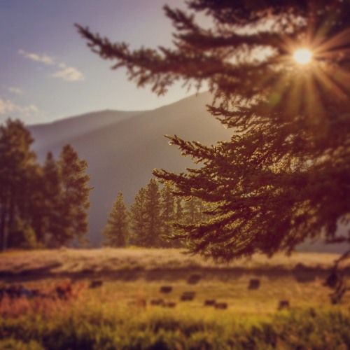Downtempo Spring Mix