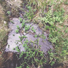 02 (full ep on neonpajams page)