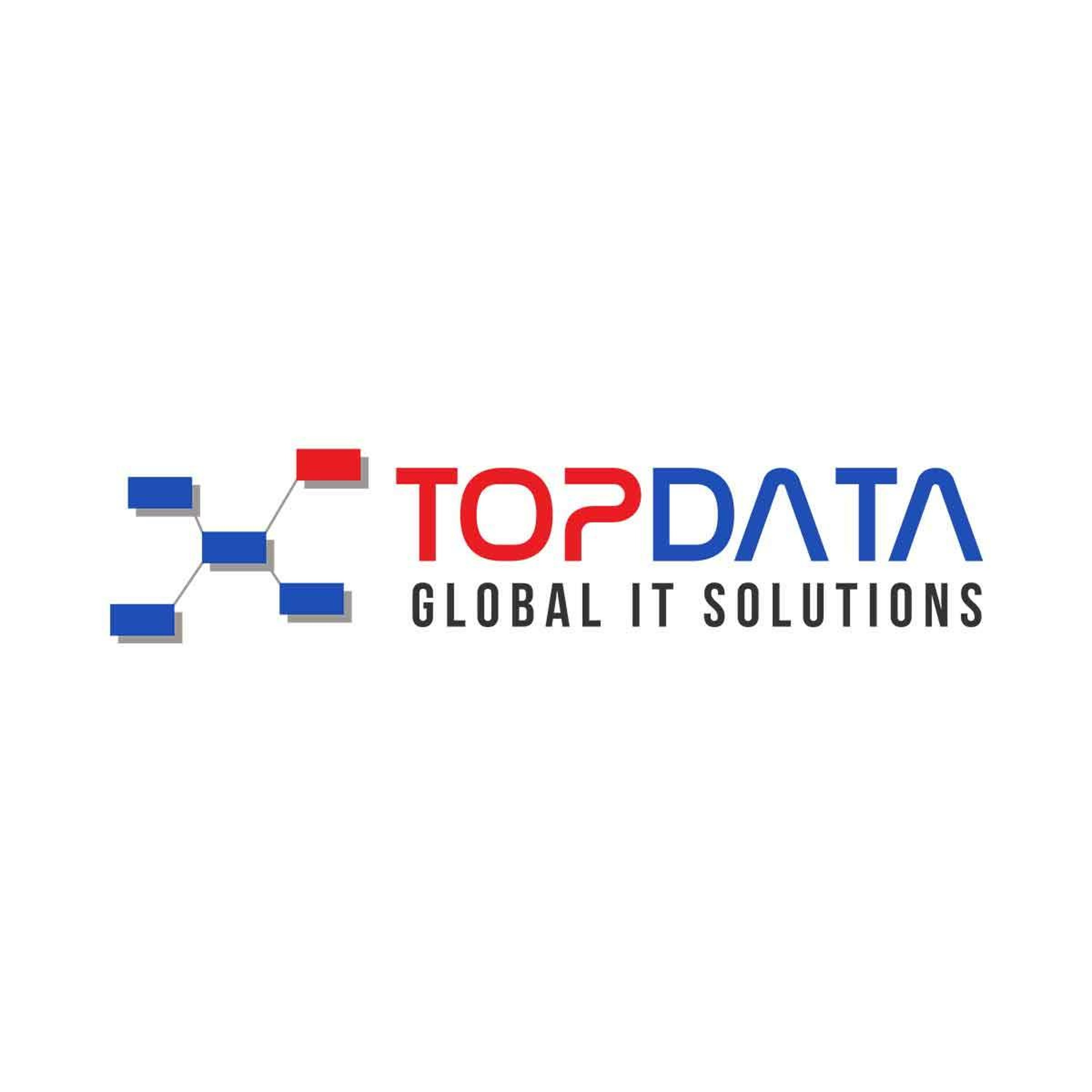 TopDATA Global IT Solutions