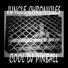 JUNGLE CHRONICLES 1 — COOL DJ PINBALL