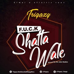 Trigazy-F.U.C.K Shatta Wale