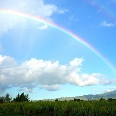 ปลายฟ้า