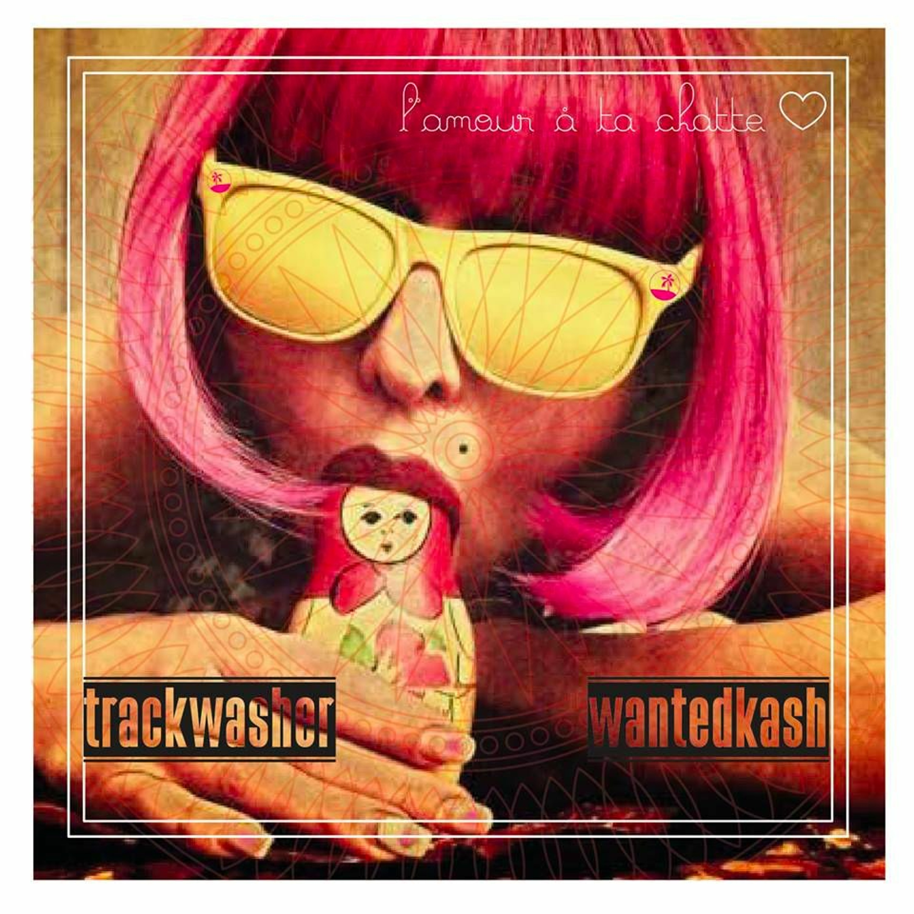 trackwasher