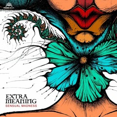 Extra Meaning - Drops Of Moments