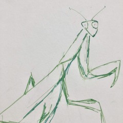 Praying Mantis In Atlantis