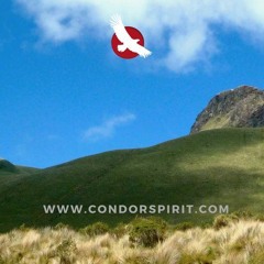 CanciónDeLosElementos_byJuttaKlöckner