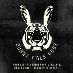 Mantra (Marco Tegui Remix) / Bunny Tiger Dubs