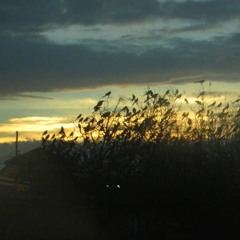 Oscar and The Wolf - Breathing (Remix)