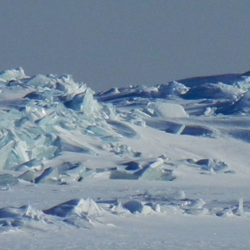 Pelee (Part 1): "Snow and Ice" & "The Birds"