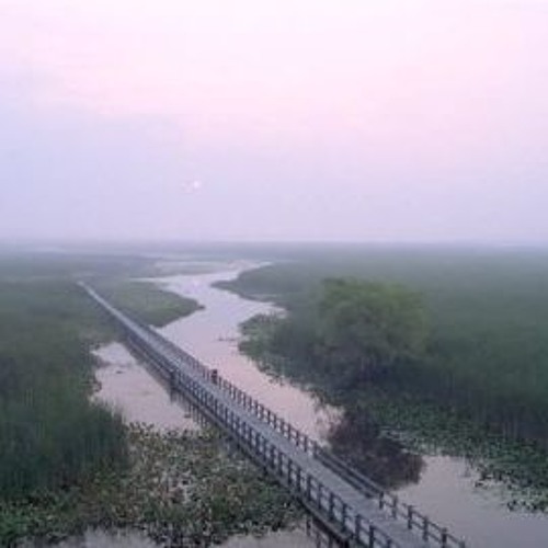 Pelee (Part 2): "Heat and Fog" & "Butterflies"