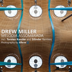 EXCLUSIVE PREMIERE: Drew Miller - Melodia Assombrada (Gibbon Records)
