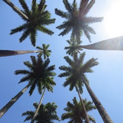 Carmen - Time To Move (Bassic Remix)