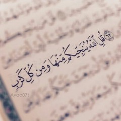 🌹 " وَمَا يُلَقَّاهَا إِلَّا الَّذِينَ صَبَرُوا وَمَا يُلَقَّاهَا إِلَّا ذُو حَظٍّ عَظِيمٍ " 🌹
