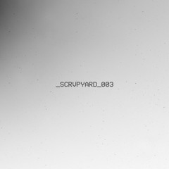 _scrvpyard_003 (live from Montreal)