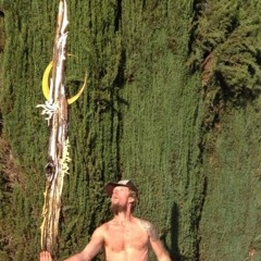 MOVING TRAIN.  2011  ...     ..       .