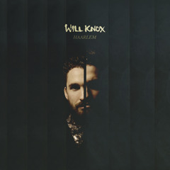 Will Knox - Haarlem