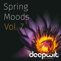 Waiting For You (Original Mix)- Spring Moods Vol. 7 - DeepWit Recordings [Preview]