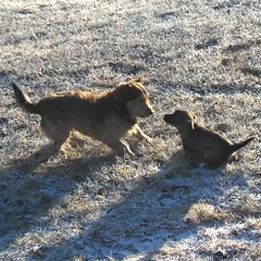 Kui mina alles noor veel olin