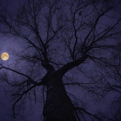 ShaDaGod17- Letter To God