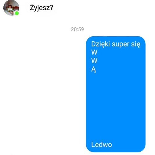 młody osa - do przyjaciół