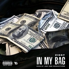 Ziggy- In My Bag