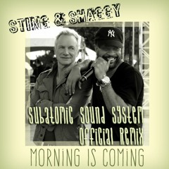 Sting & Shaggy "Morning Is Coming" official Subatomic Sound System remix [label promo]