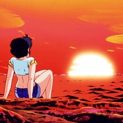 Sunset Vibes