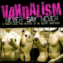 Vandalism - Never Say Never (FreeJ Old School Banger)