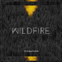 Transform - Wildfire (Kevin Aleksander Remix)