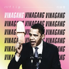 ｖｉｎａｇａｎｇ （ｉｔｓｎｋ ｆｌｉｐ）