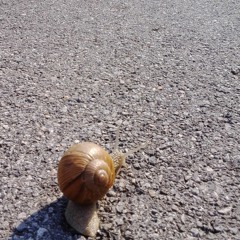 On The Road Again...