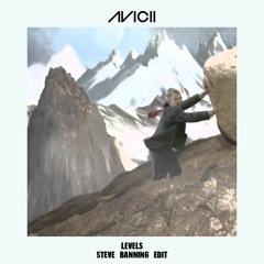 FREE DOWNLOAD: Avicii - Levels (Steve Banning Tribute Edit)