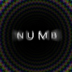 NORMAL IST ANDERS - Numb (Acid)