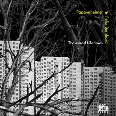 Pappenheimer & Felix Bernhardt - Navigate Your Feelings (Traum V220.5)
